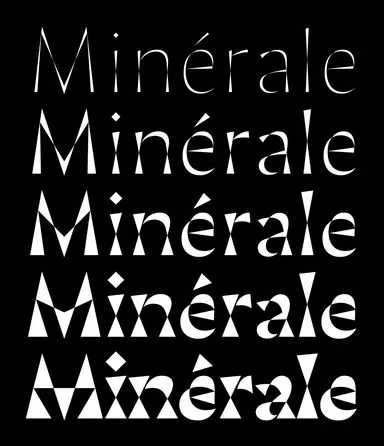 17f6e3279748071a6ad24228eb924f55_MD5